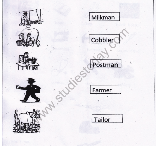 CBSE Class 1 EVS Our Helpers Worksheet